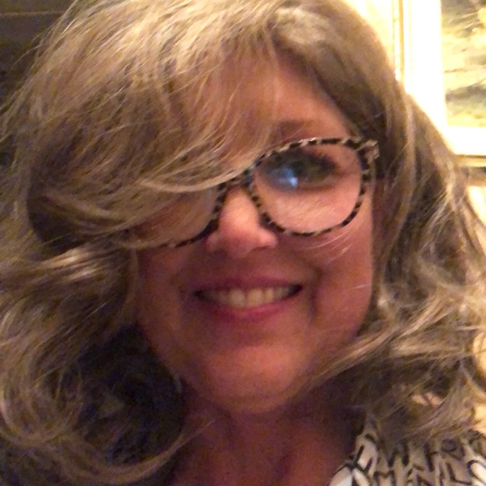 Abundant, shoulder length, lace inset brownish wig